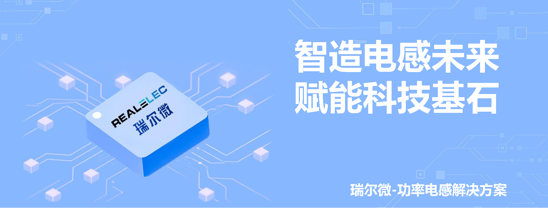 REALELEC瑞尔微公司简介