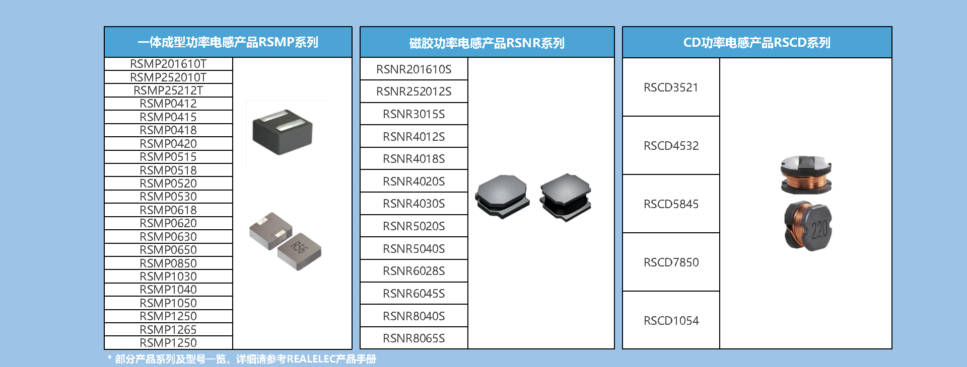 REALELEC瑞尔微公司简介-2